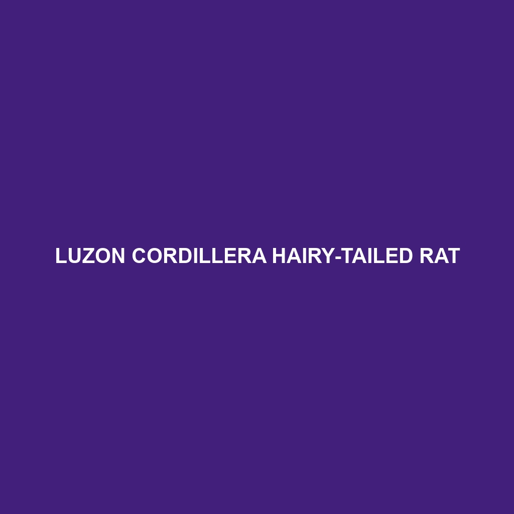 Luzon Cordillera Hairy-tailed Rat