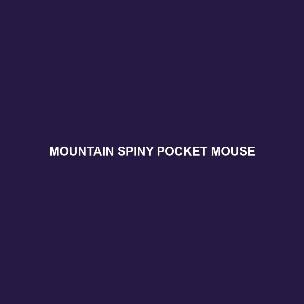 Mountain Spiny Pocket Mouse