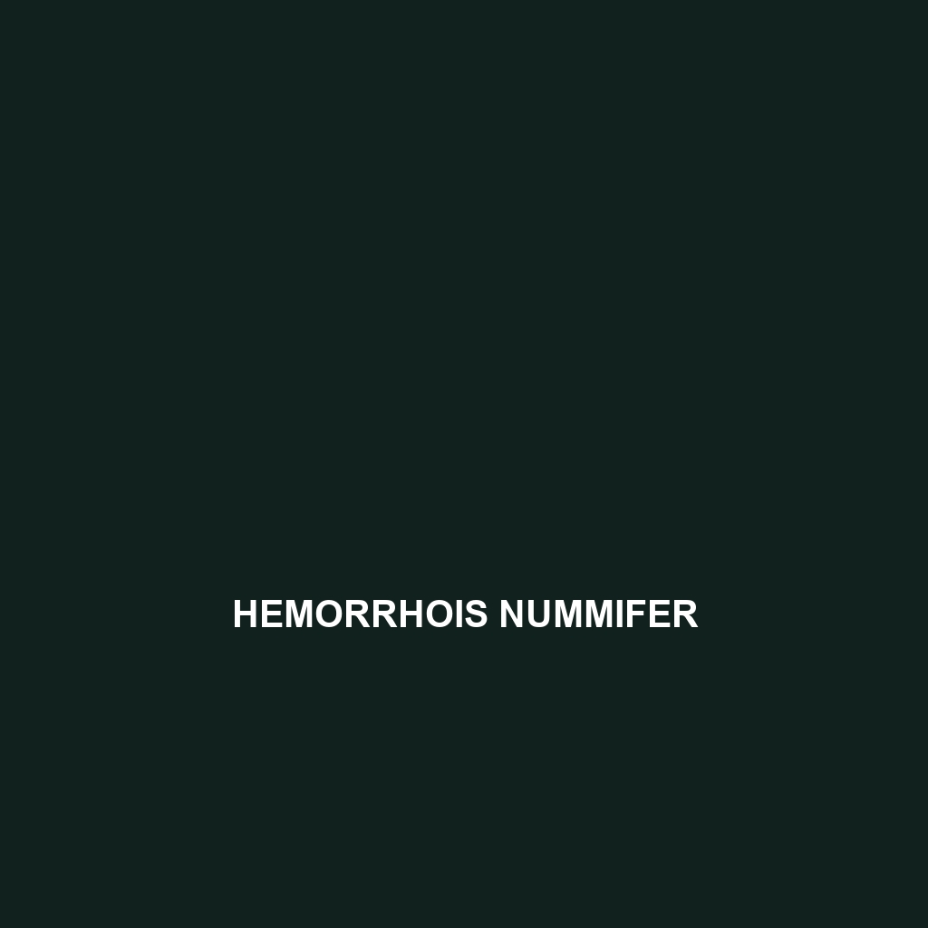 Hemorrhois nummifer