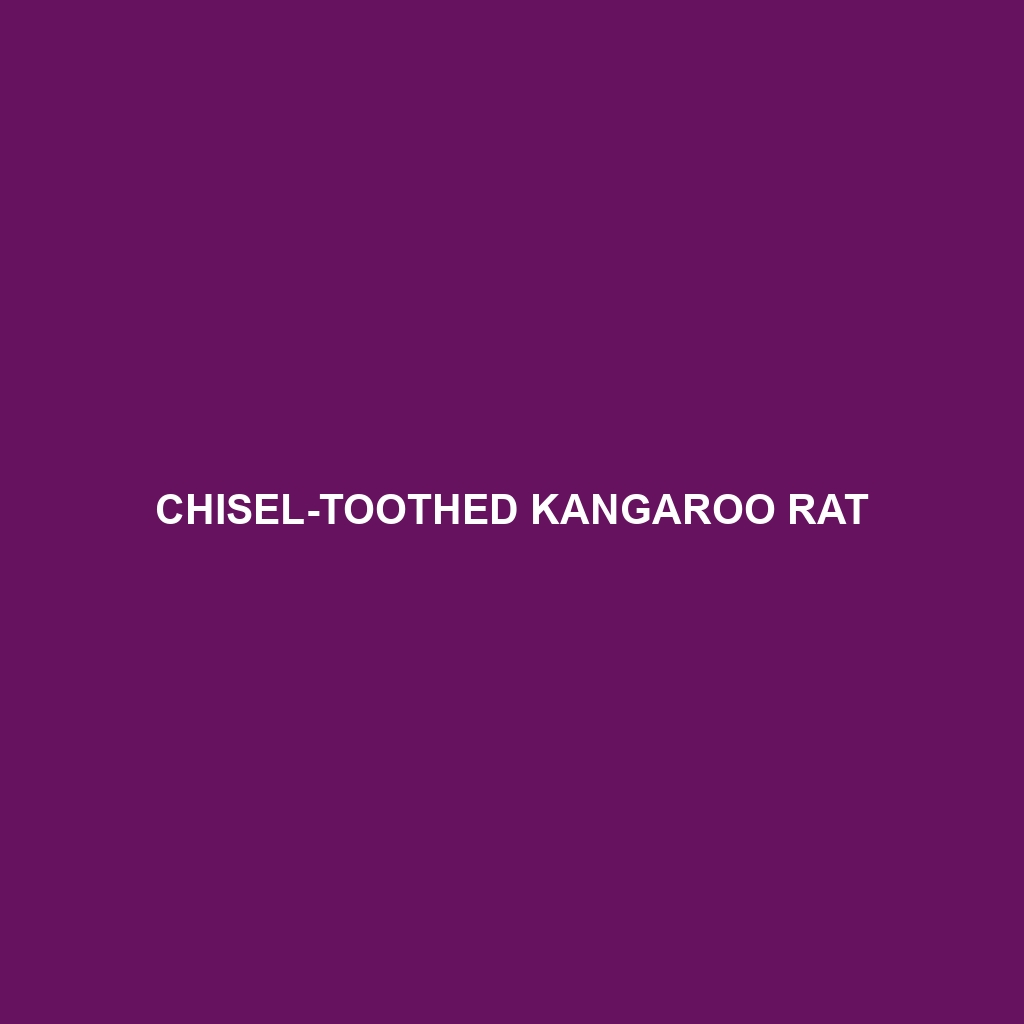 Chisel-toothed Kangaroo Rat