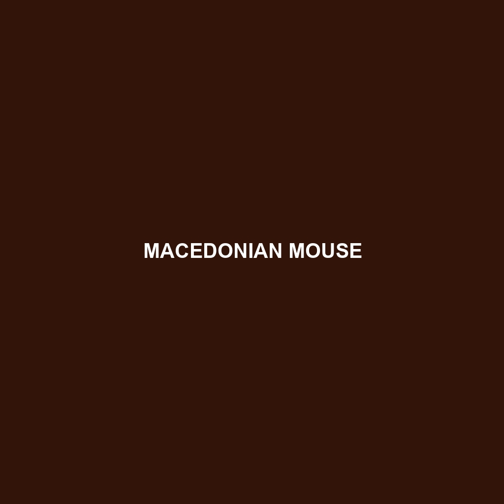 Macedonian Mouse