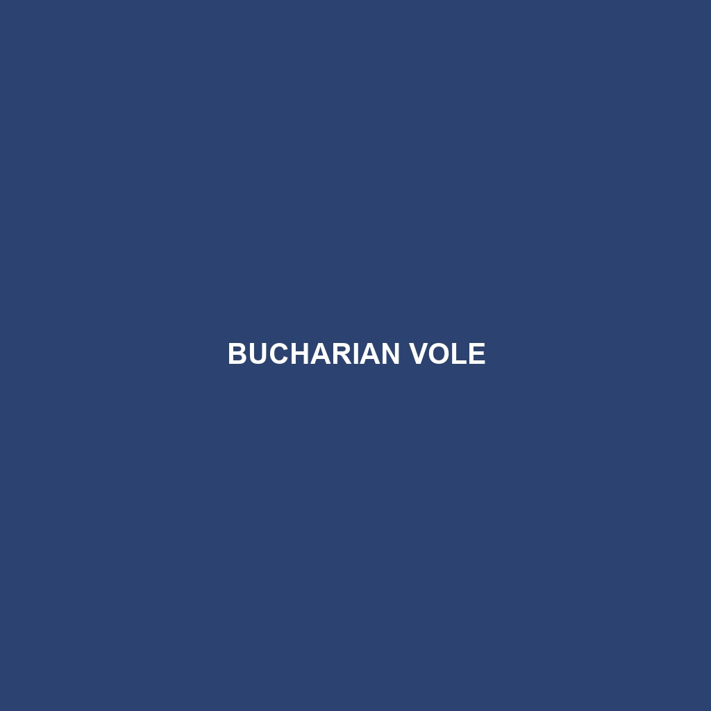 Bucharian Vole