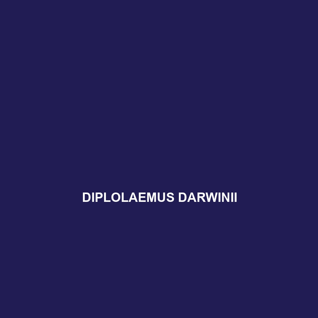 Diplolaemus darwinii