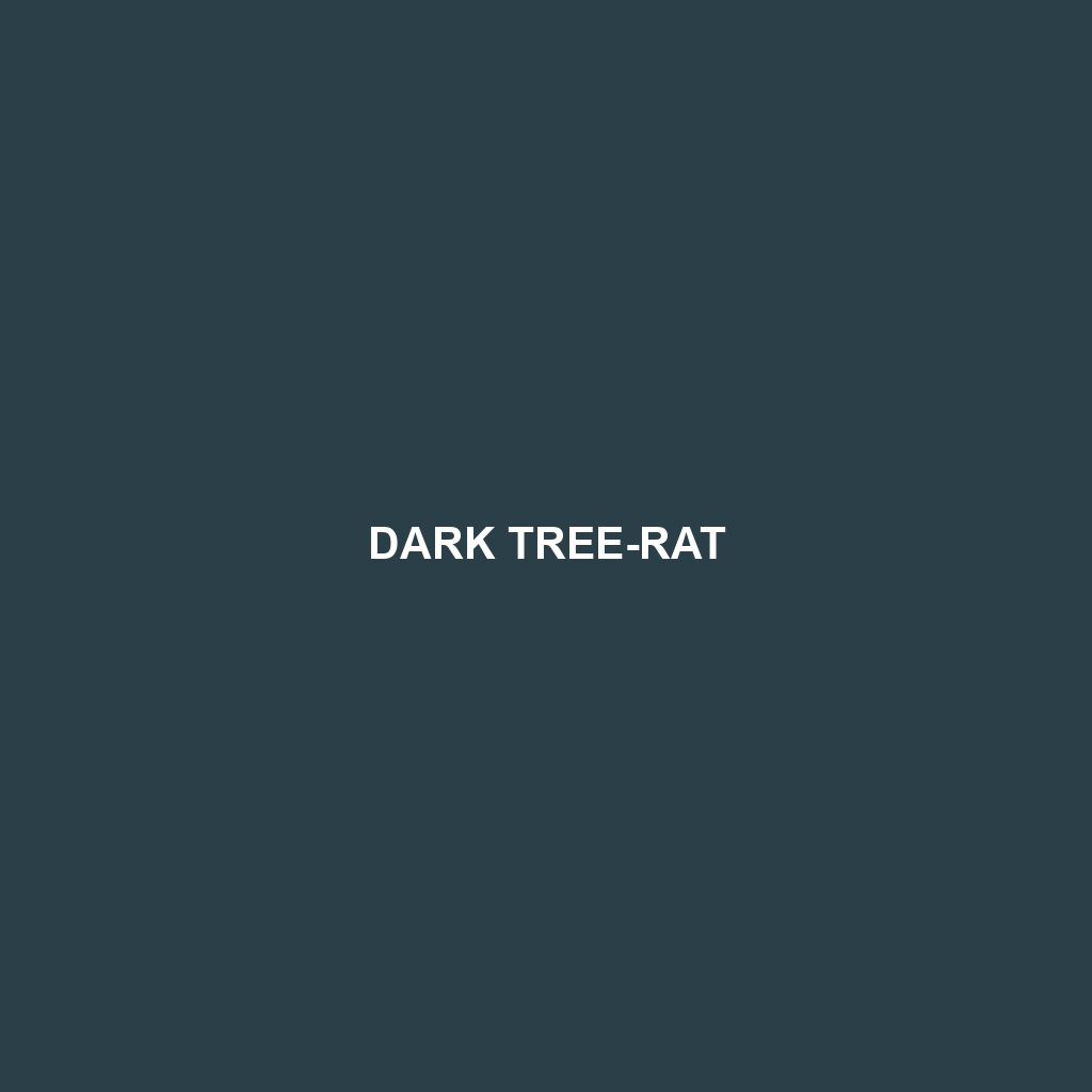 Dark Tree-rat