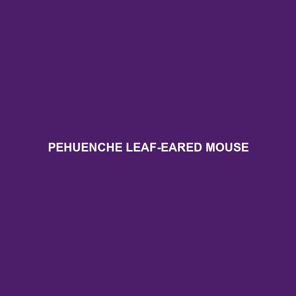 Pehuenche Leaf-eared Mouse