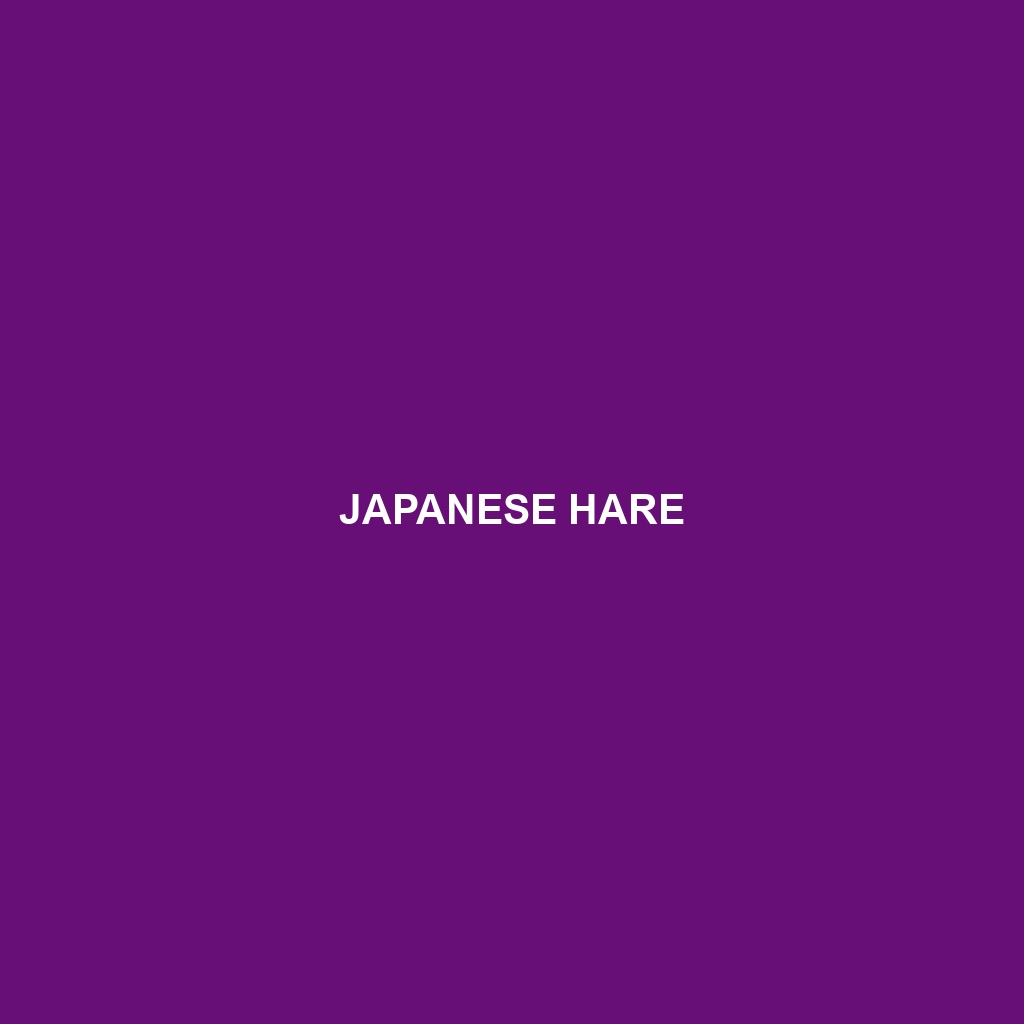 Japanese Hare