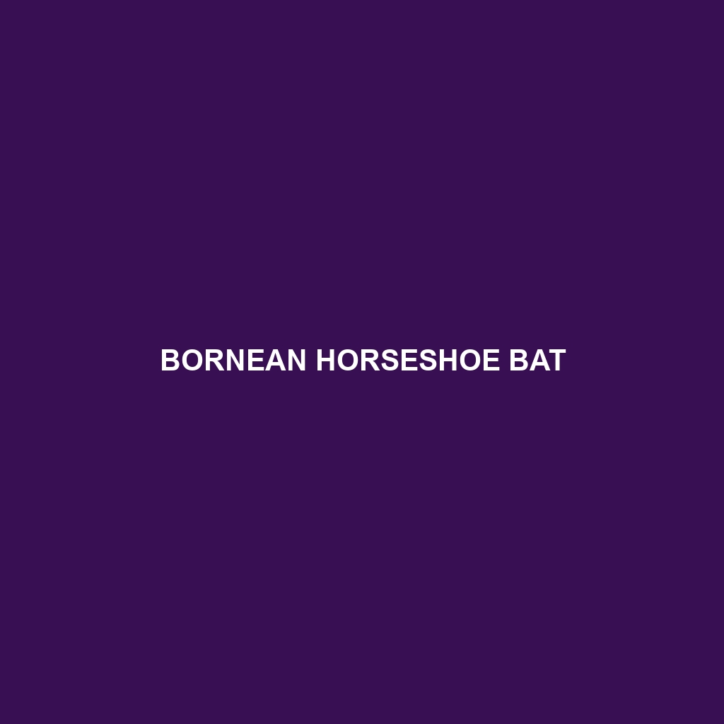 Knud's Horseshoe Bat