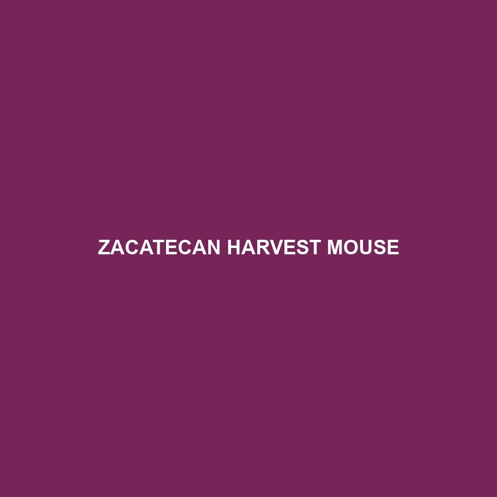 Zacatecan Harvest Mouse