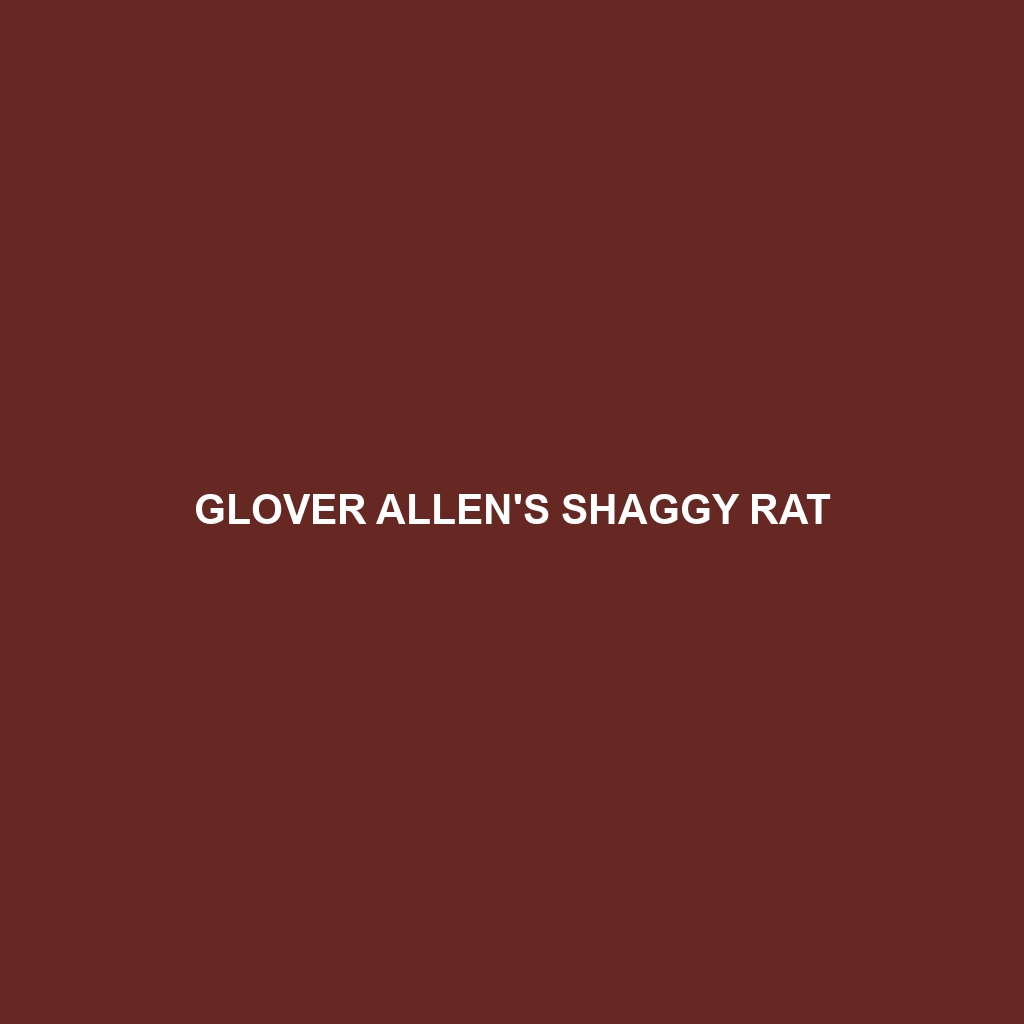 Glover Allen's Shaggy Rat