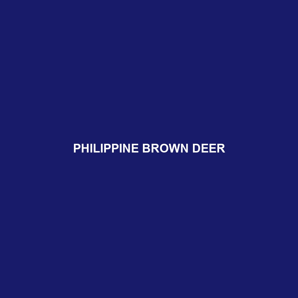 Philippine Brown Deer