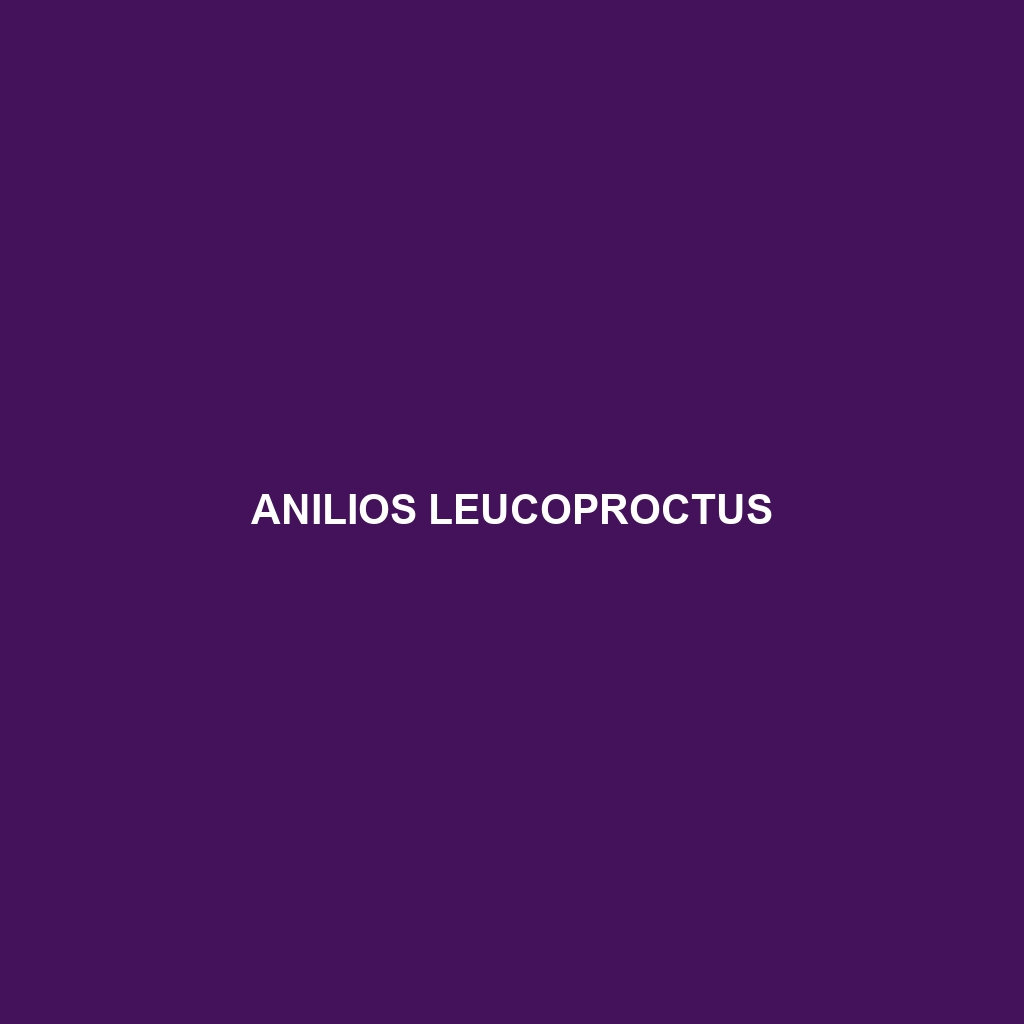 Anilios leucoproctus