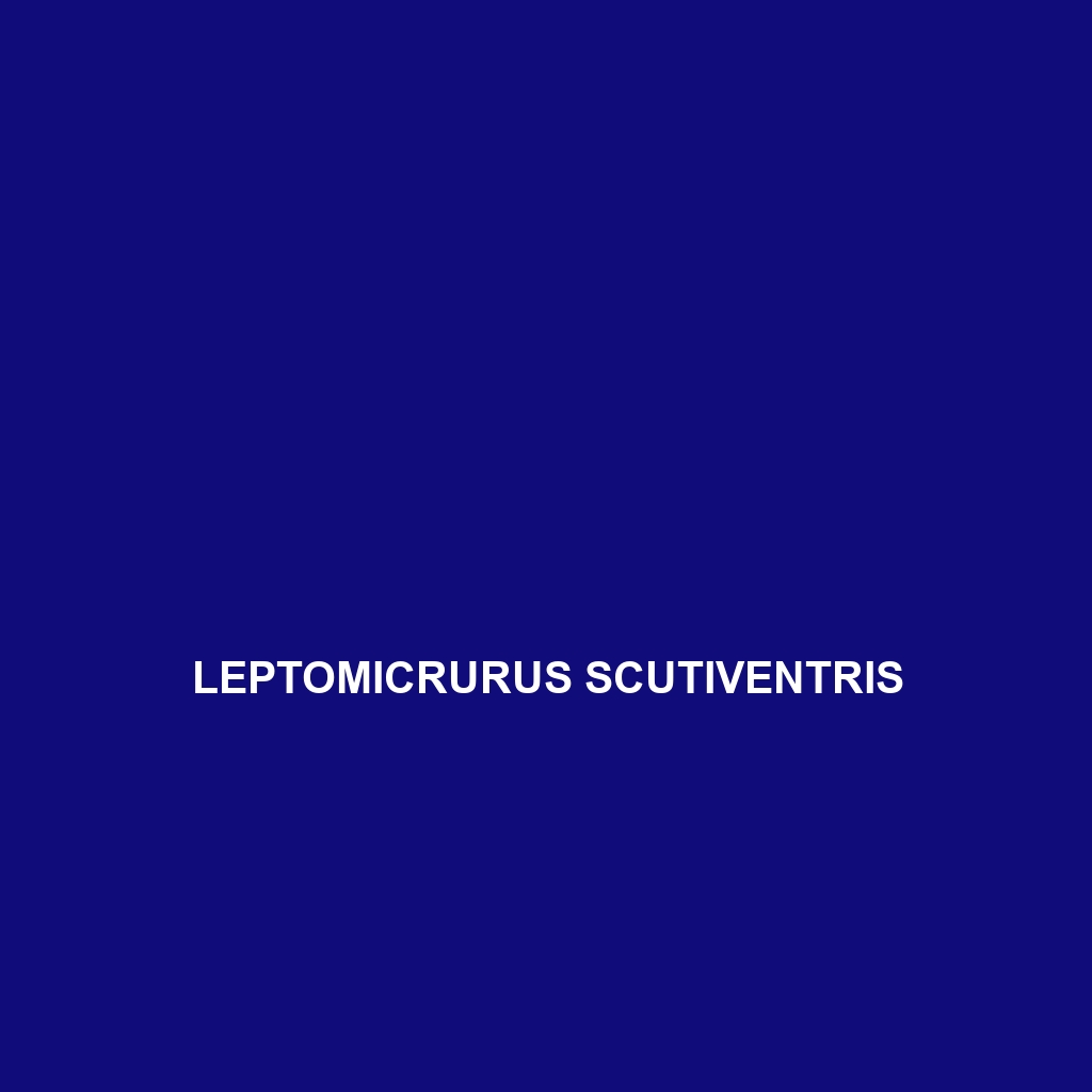 Leptomicrurus scutiventris