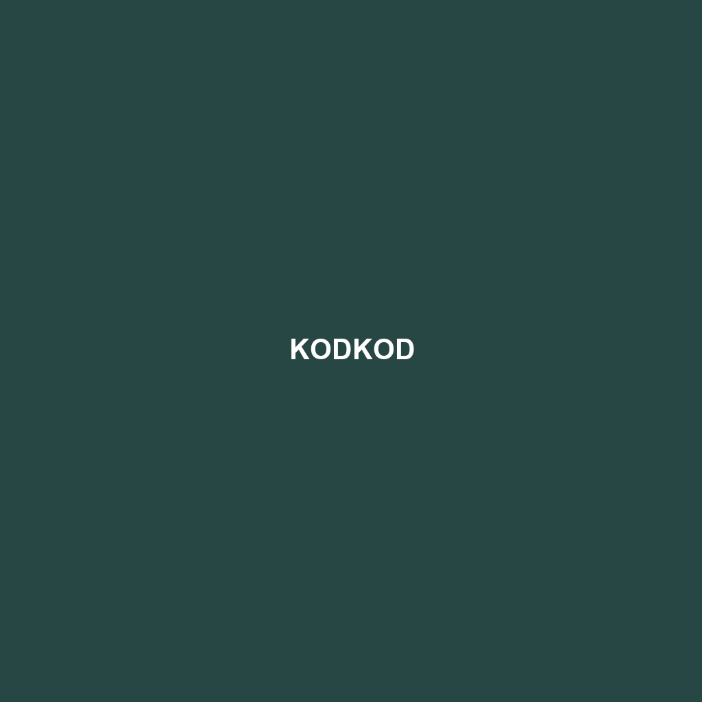 Kodkod