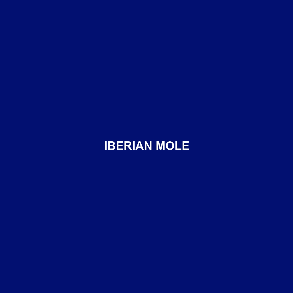 Iberian Mole