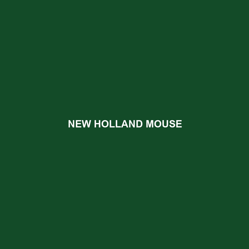 New Holland Mouse