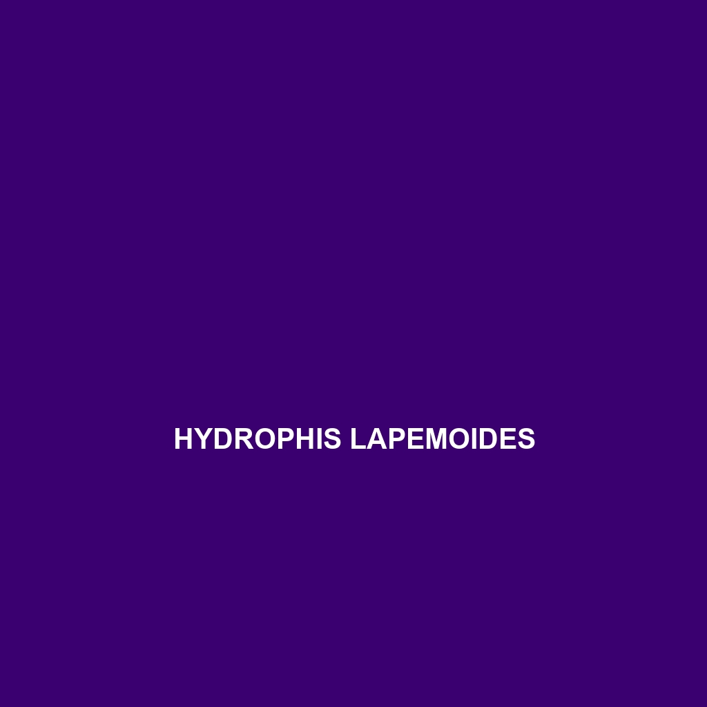 Hydrophis lapemoides