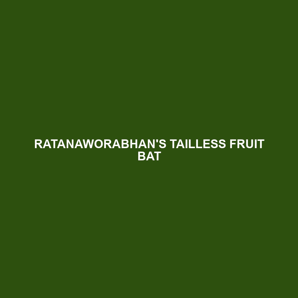 Ratanaworabhan's Tailless Fruit Bat