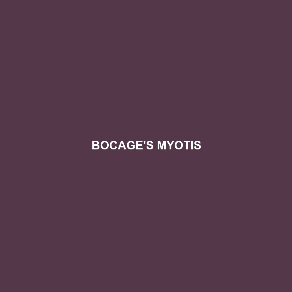 Bocage's Myotis