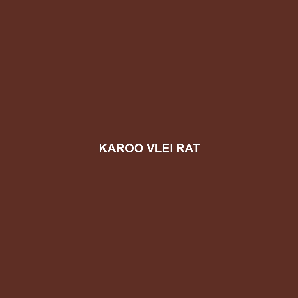 Karoo Vlei Rat