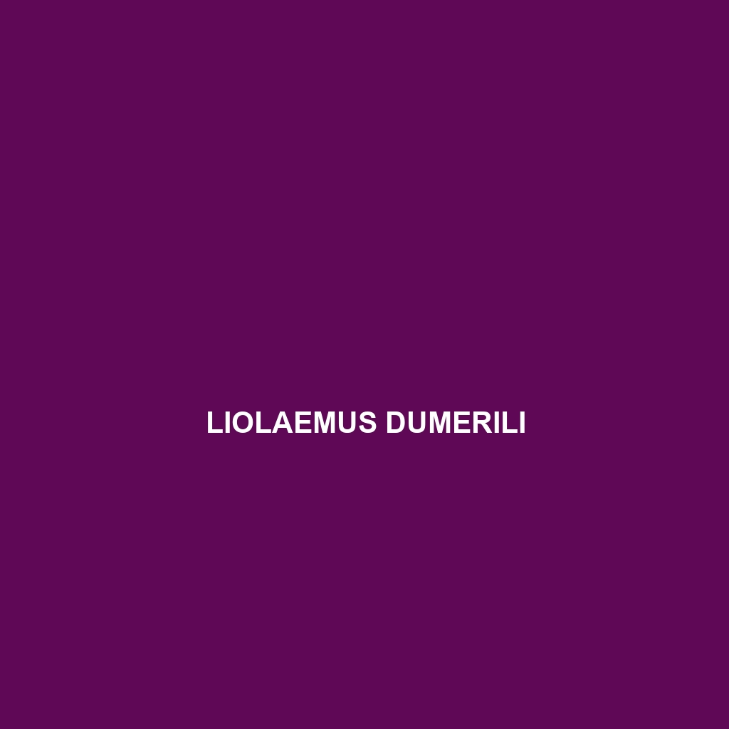 Liolaemus dumerili