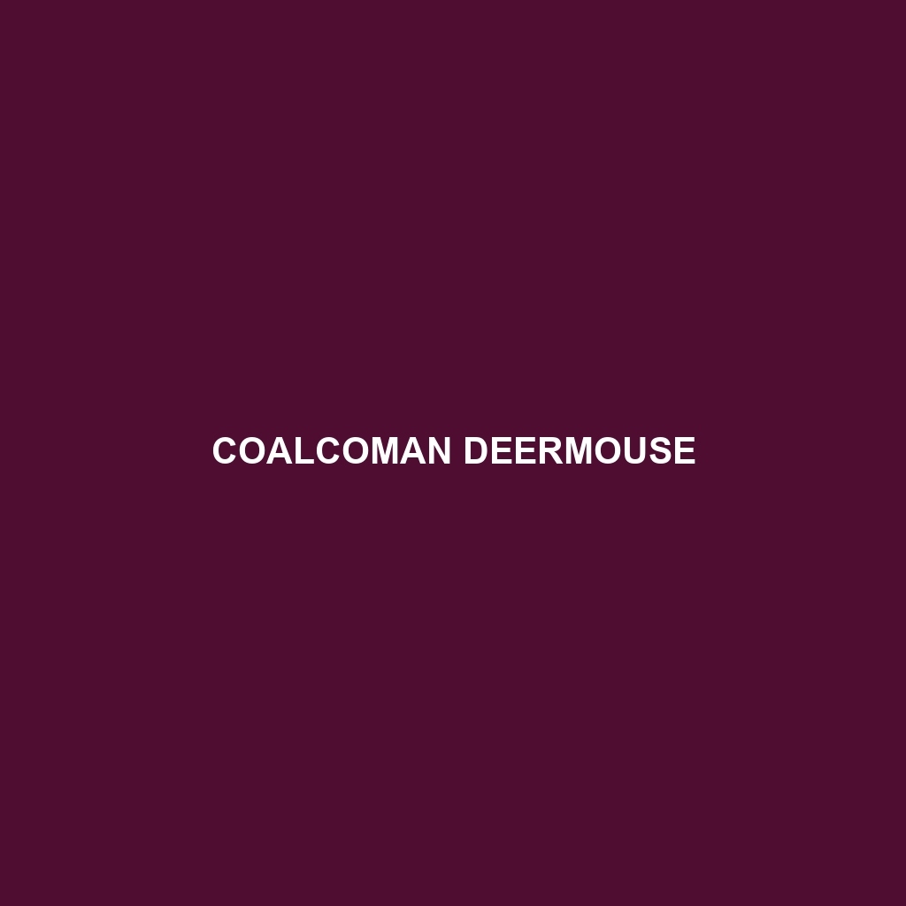 Coalcoman Deermouse