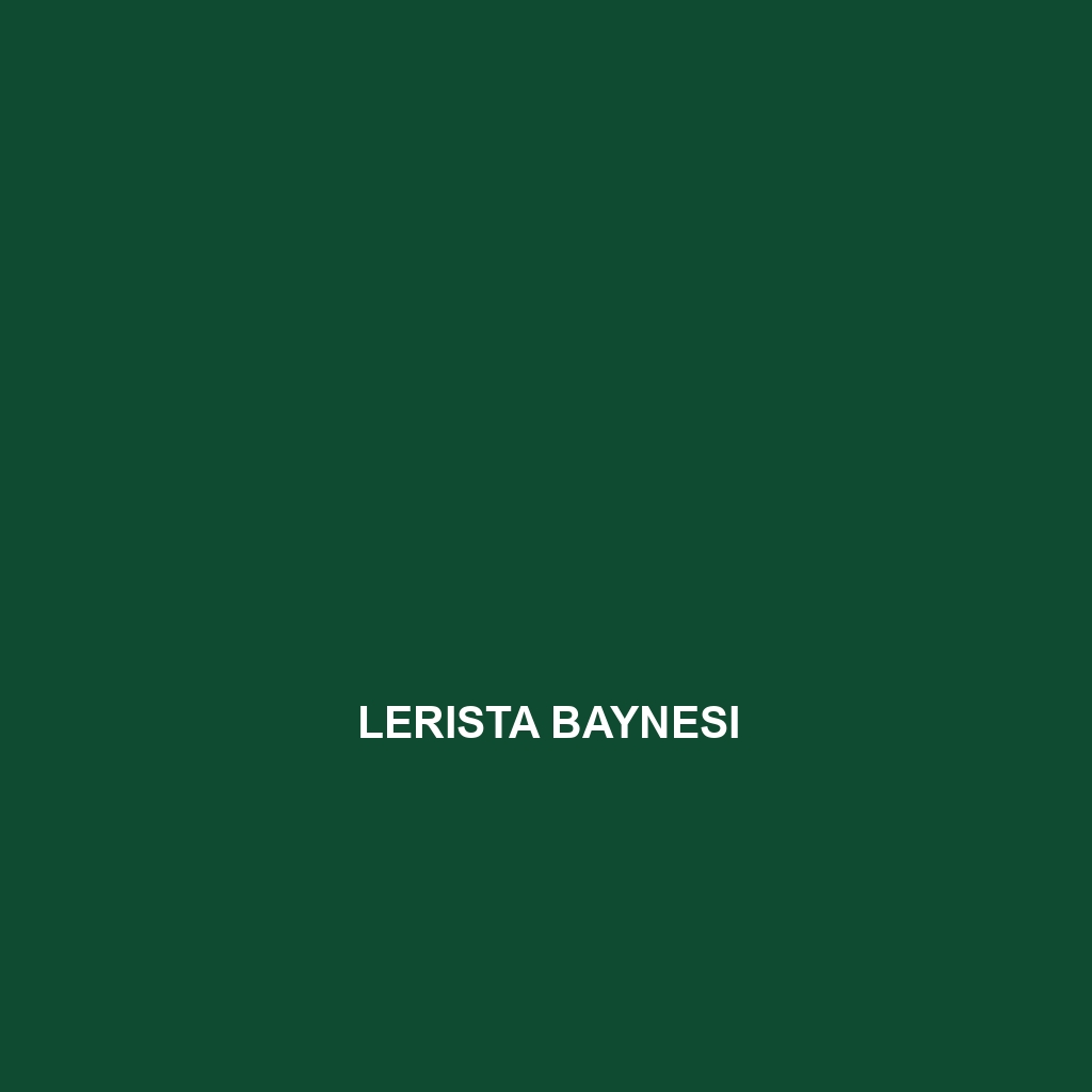 Lerista baynesi