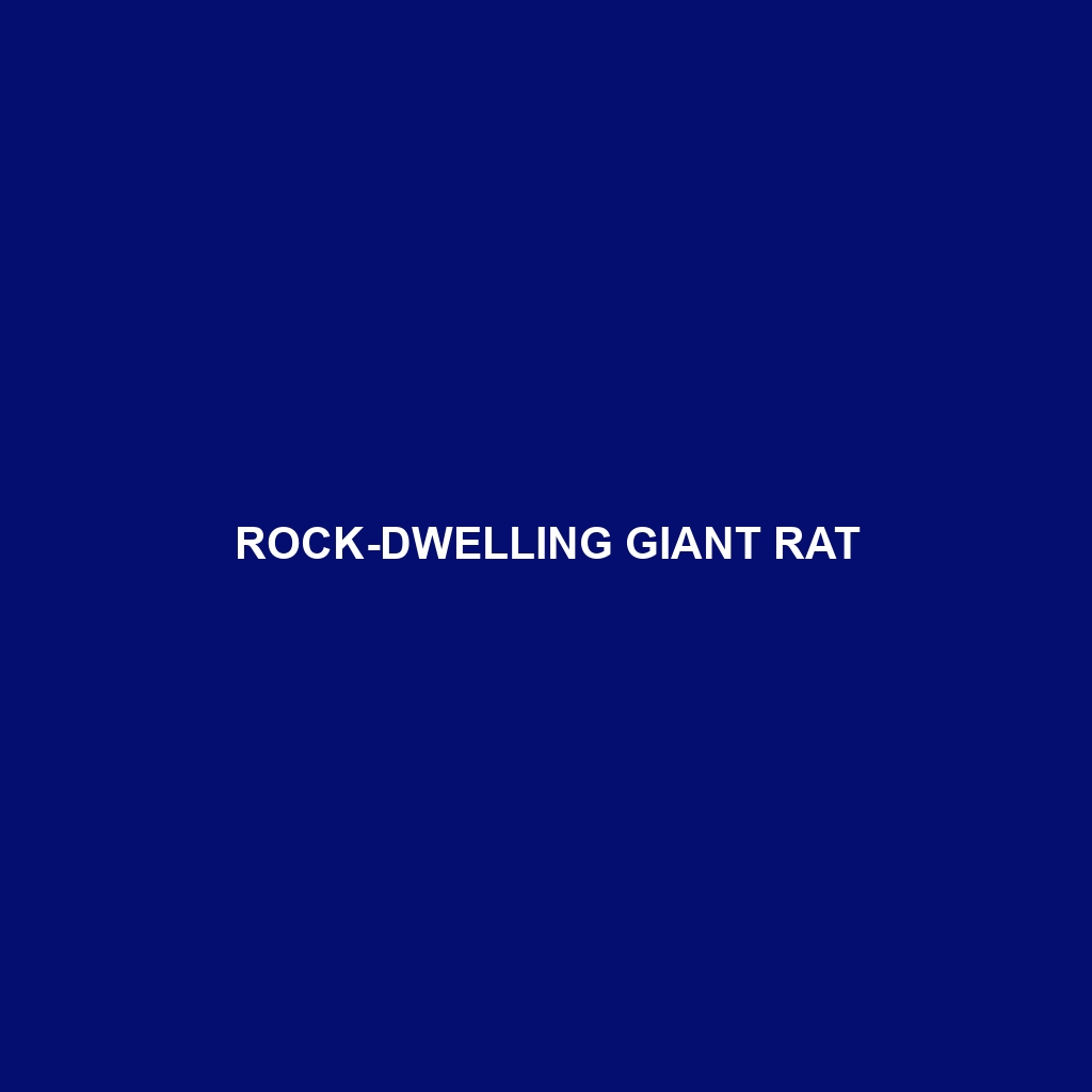 Rock-dwelling Giant Rat