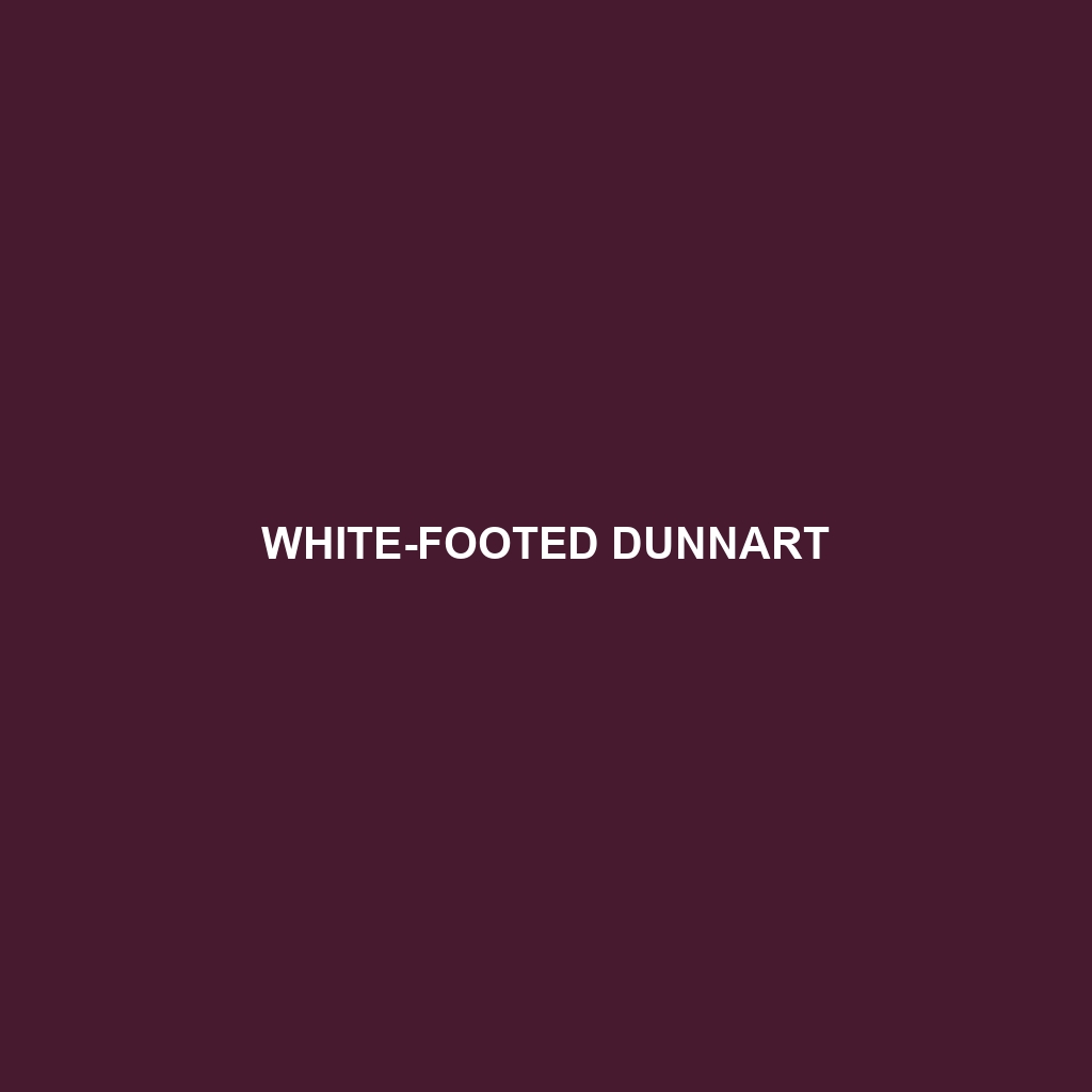 White-footed Dunnart