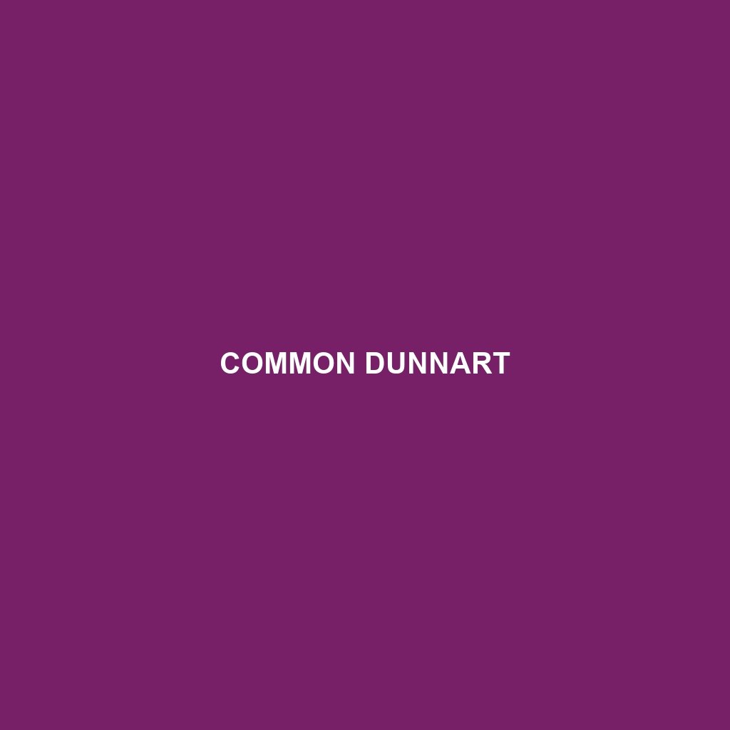 Common Dunnart