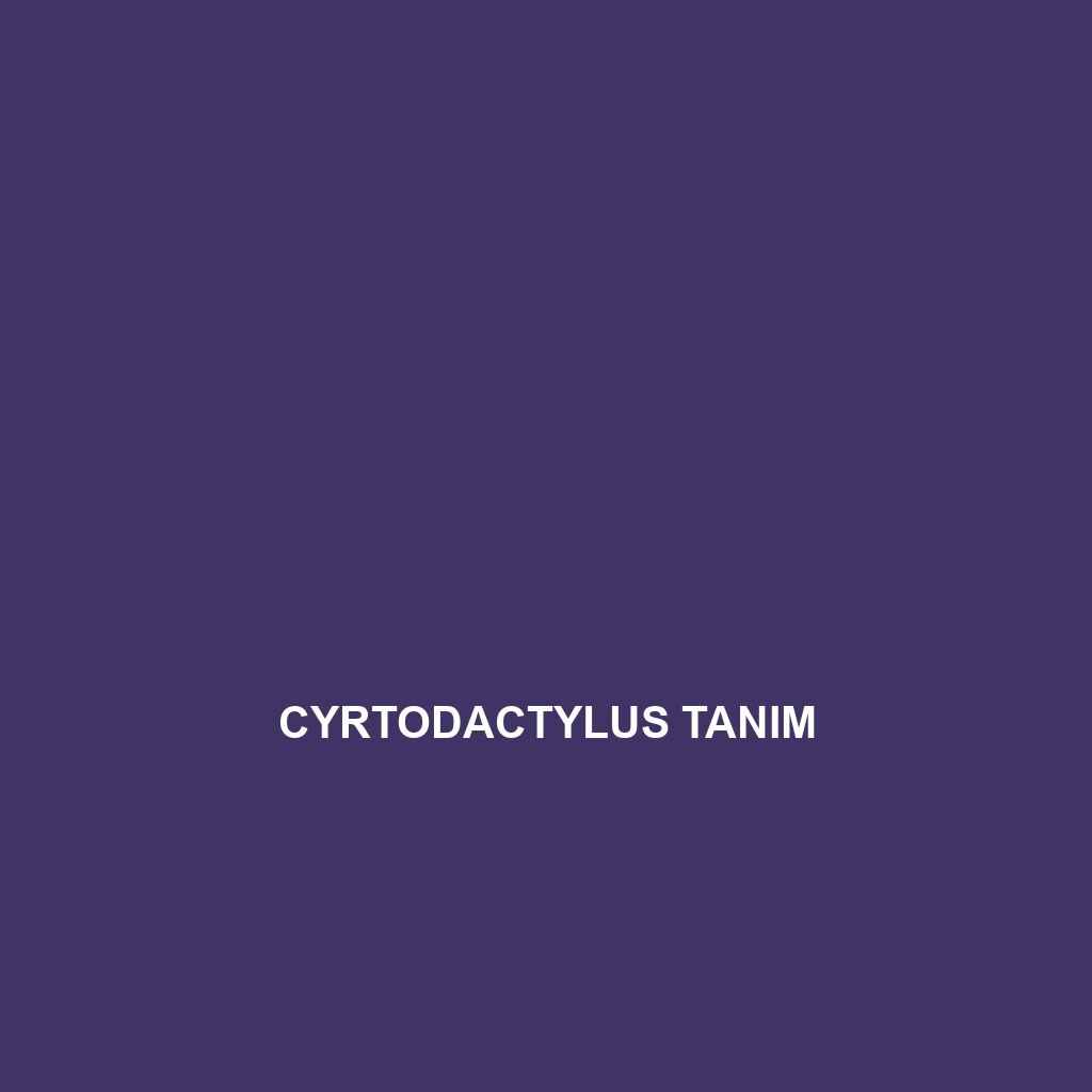 Cyrtodactylus tanim