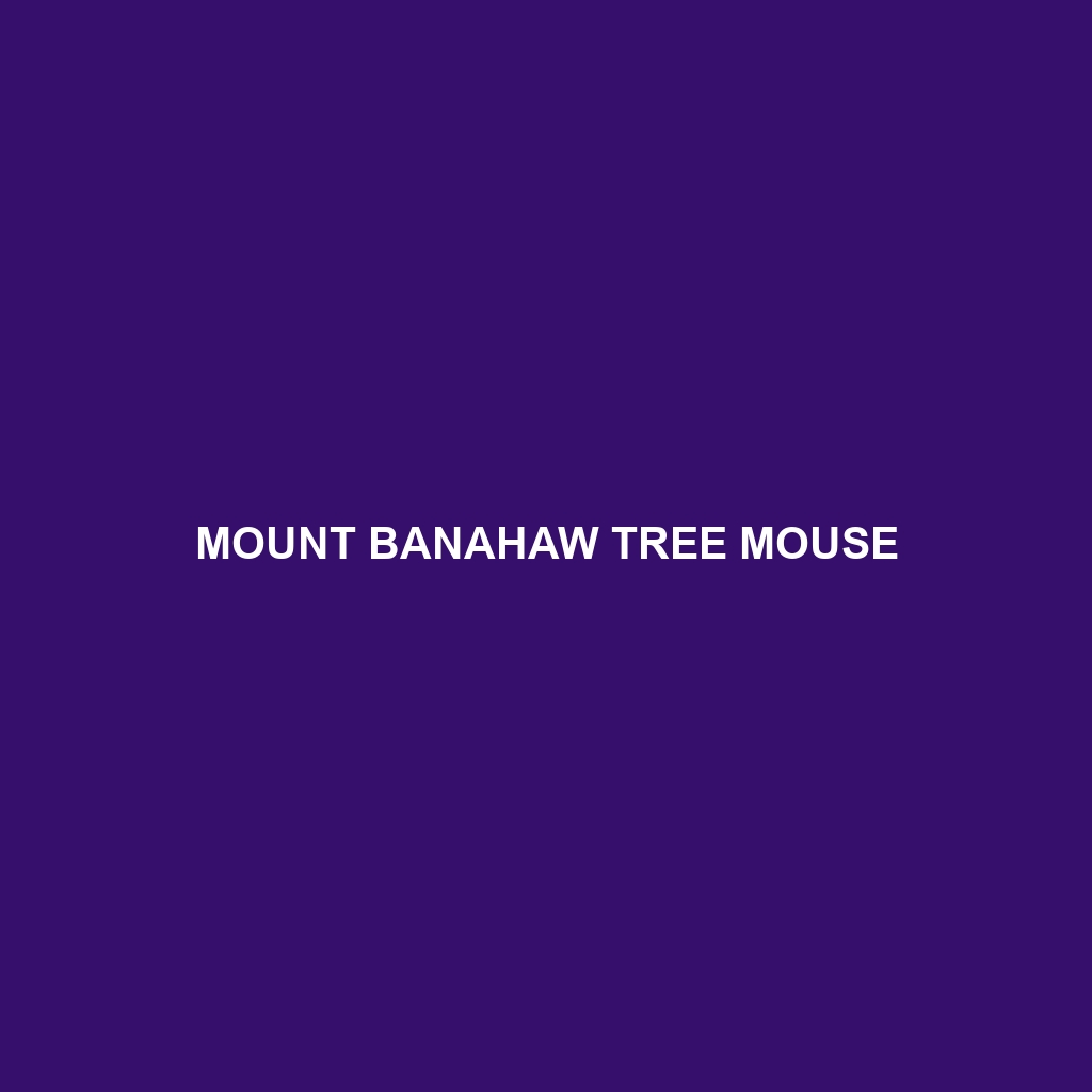 Mount Banahaw Tree Mouse