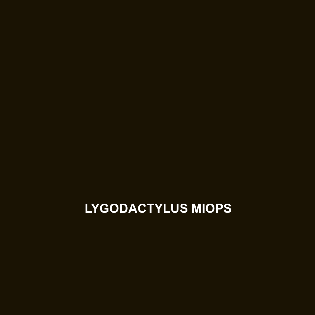 Lygodactylus miops