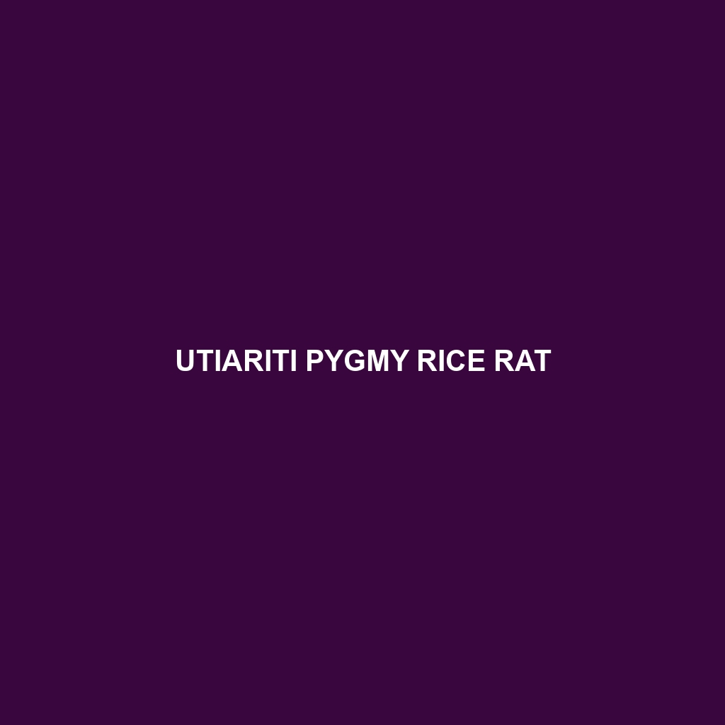 Utiariti Pygmy Rice Rat