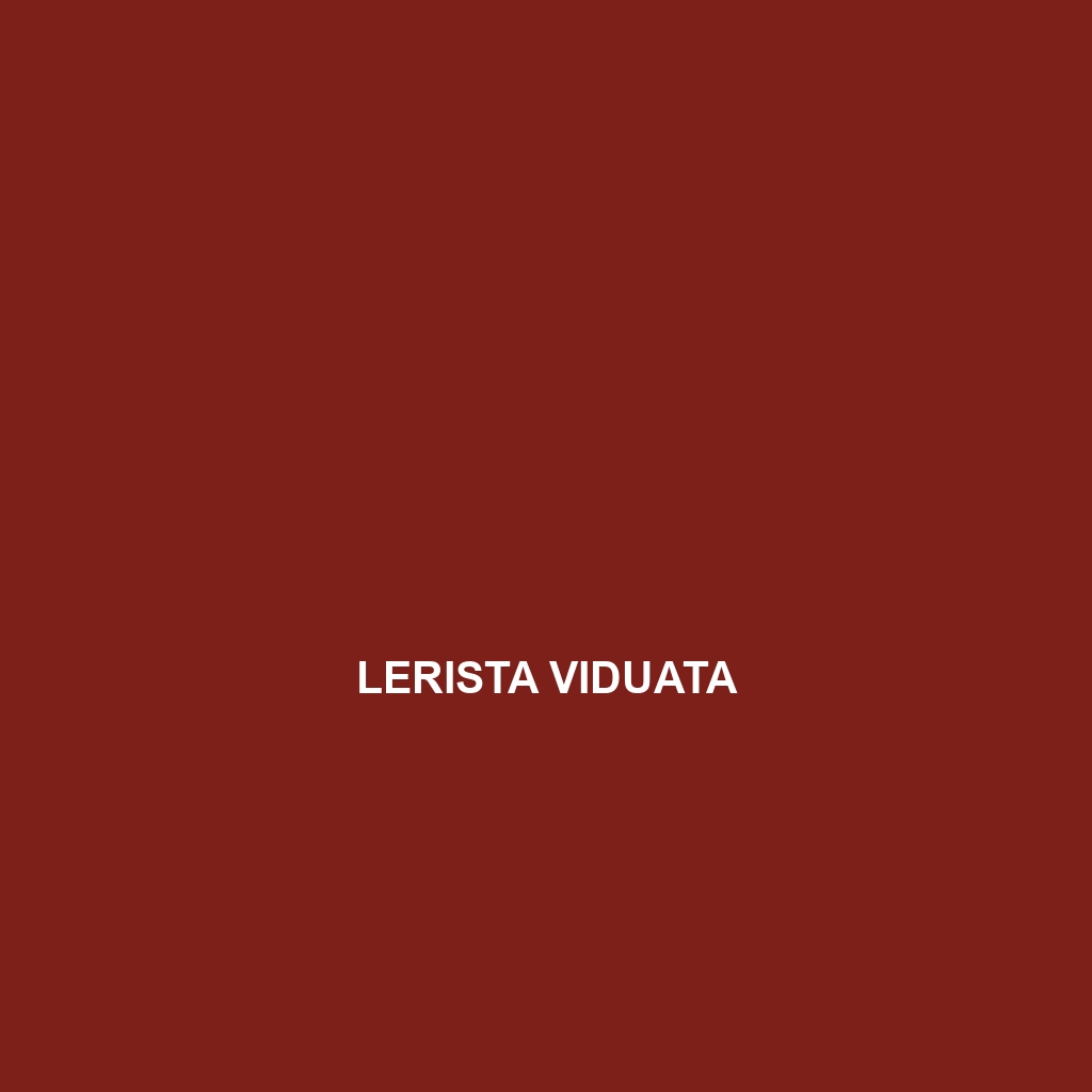 Lerista viduata