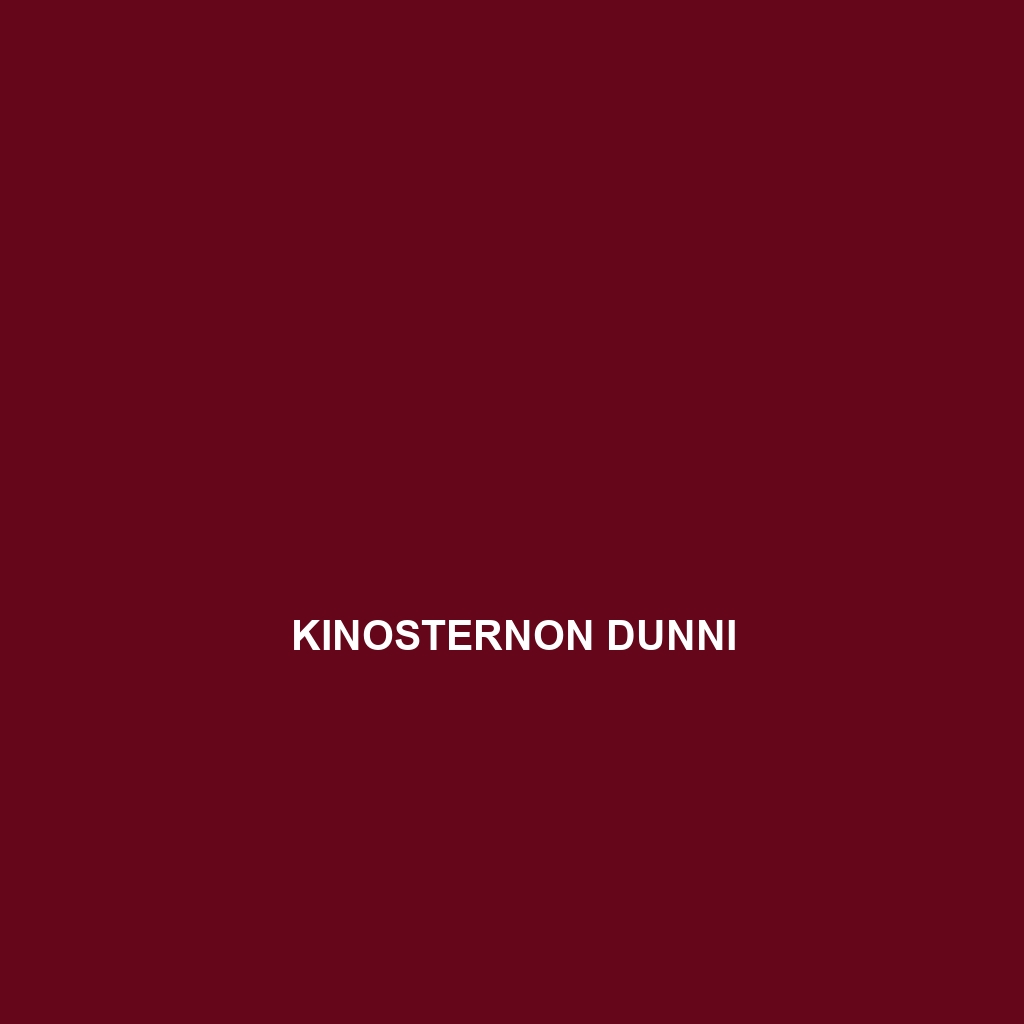 Kinosternon dunni