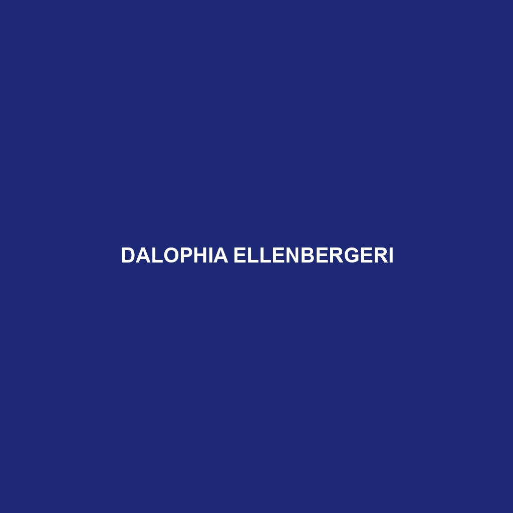 Dalophia ellenbergeri