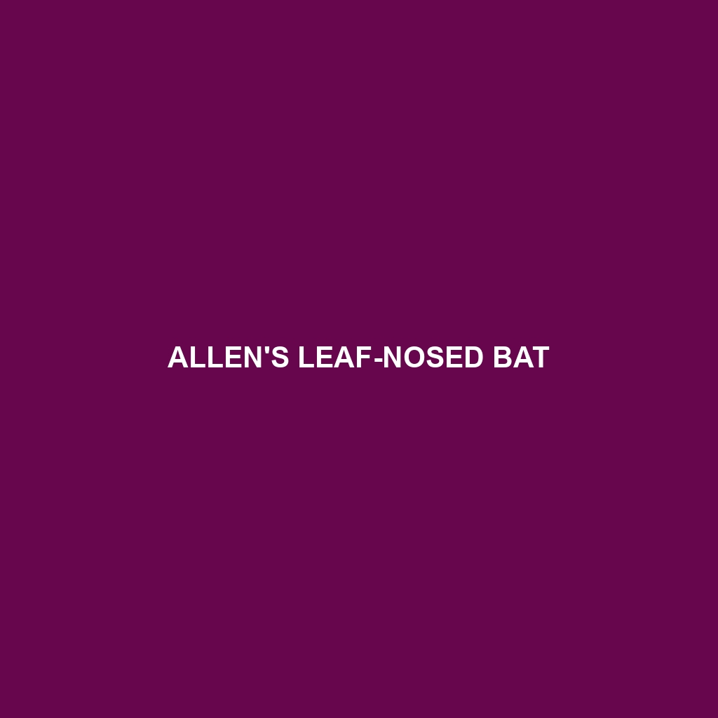 Allen's Leaf-nosed Bat