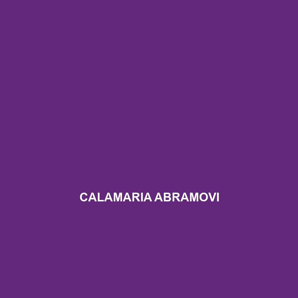 Calamaria abramovi