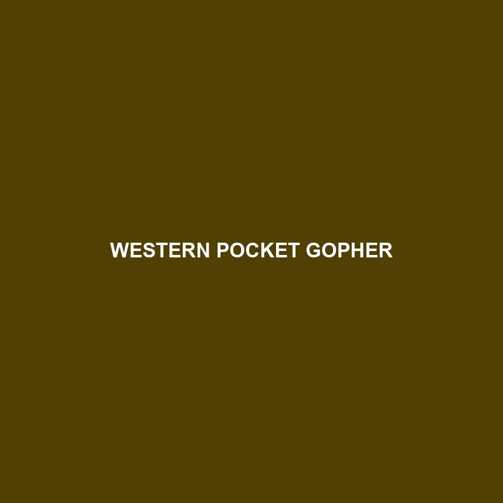 Western Pocket Gopher