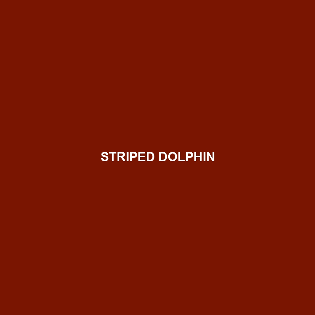 Striped Dolphin