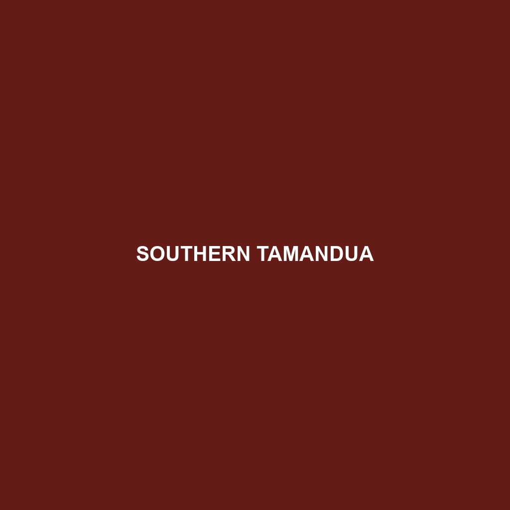 Southern Tamandua