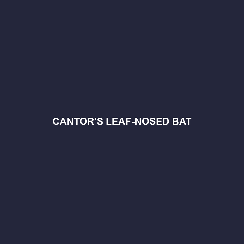 Cantor's Leaf-nosed Bat