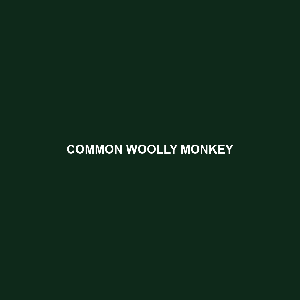 Common Woolly Monkey