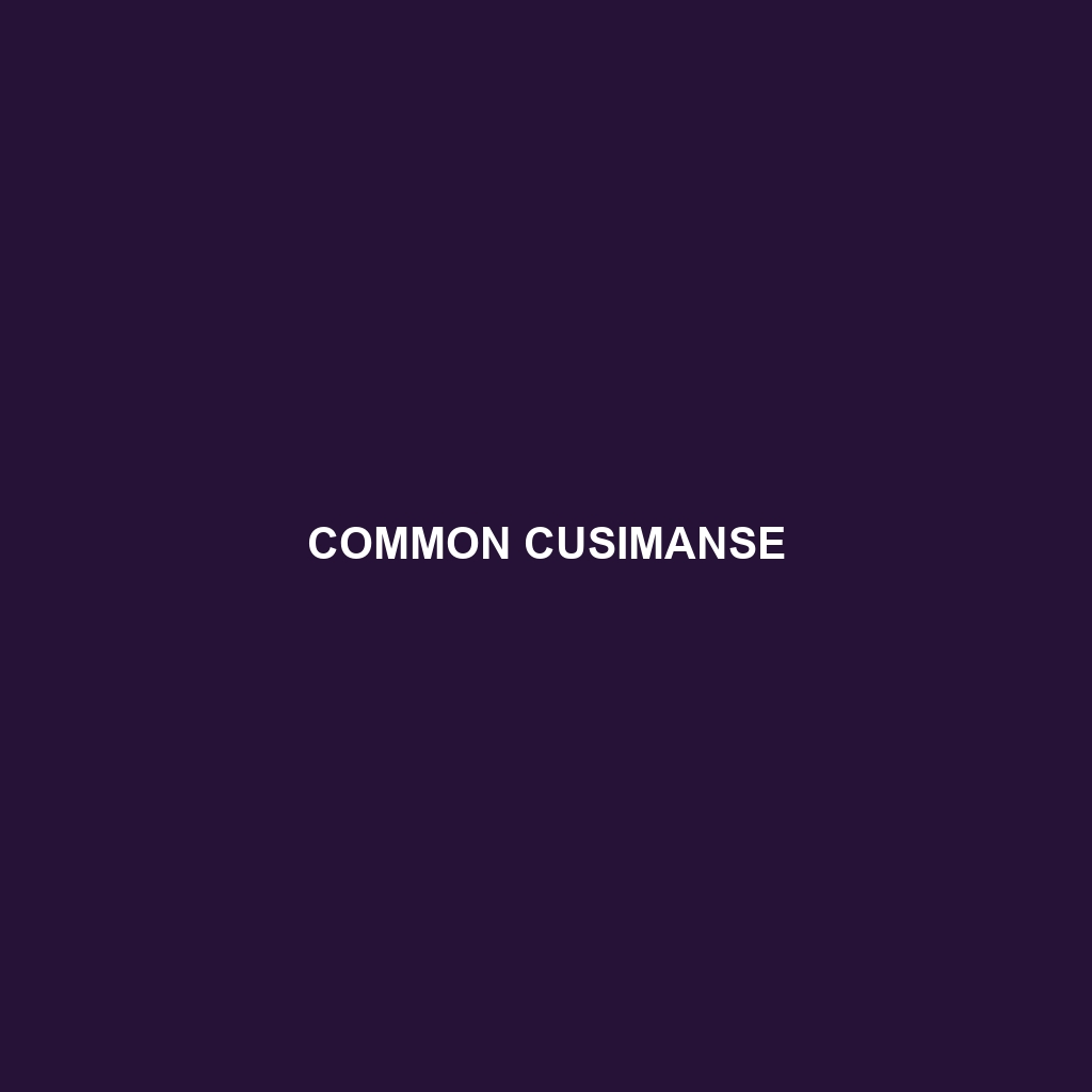 Common Cusimanse