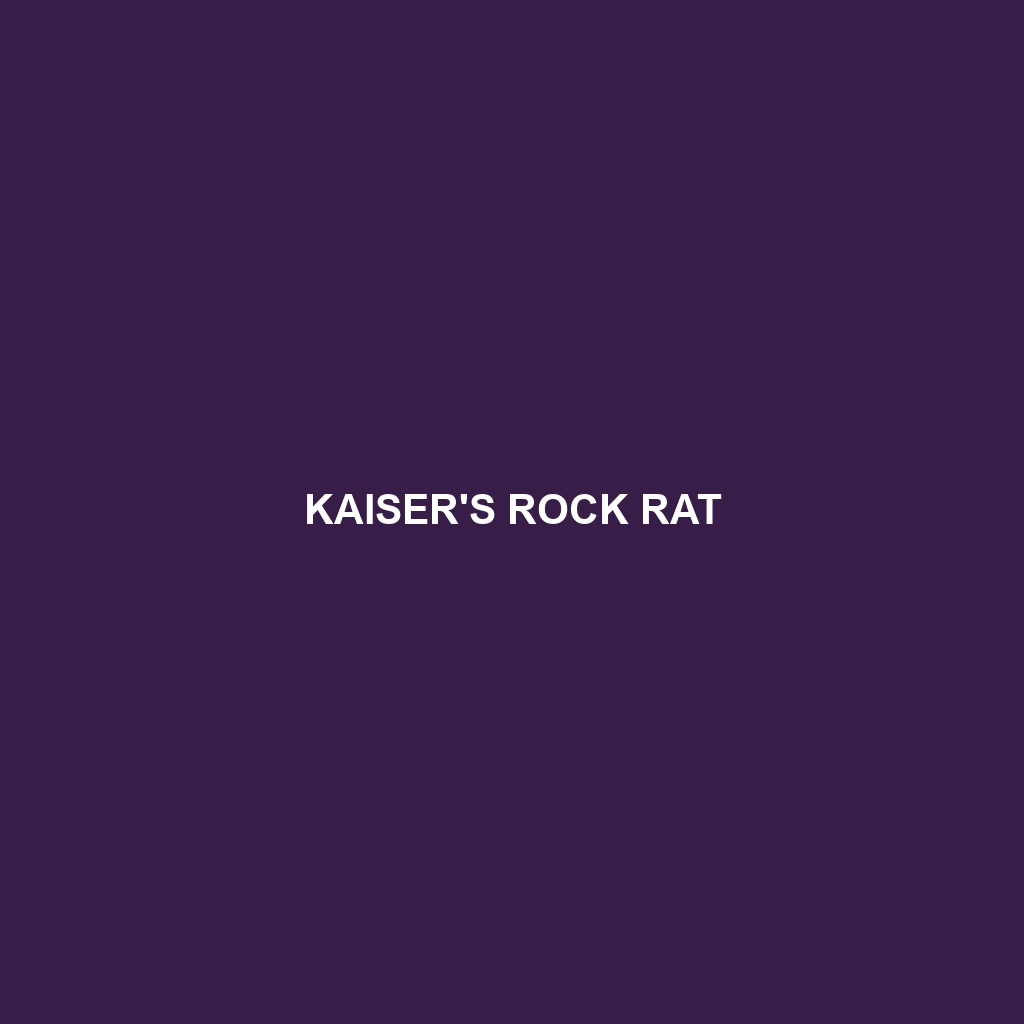 Kaiser's Rock Rat