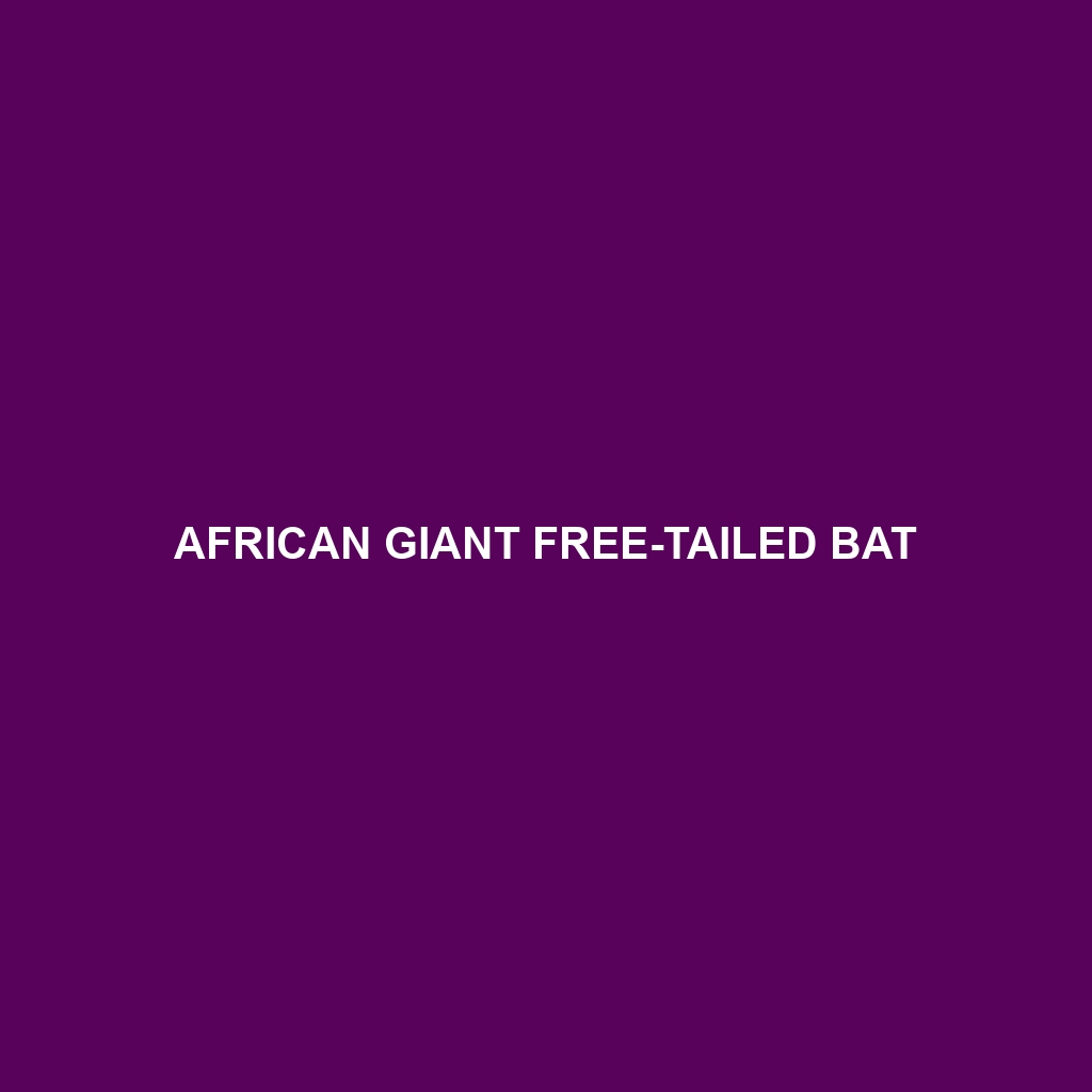 African Giant Free-tailed Bat