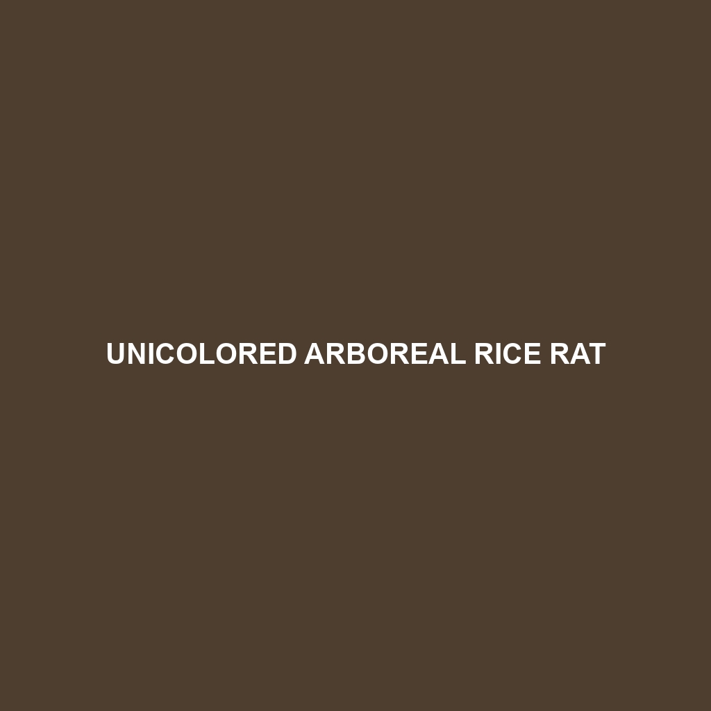 Unicolored Arboreal Rice Rat