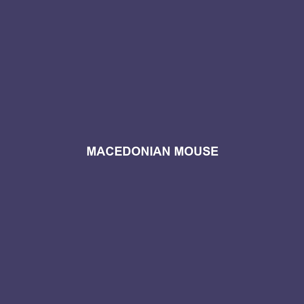 Macedonian Mouse