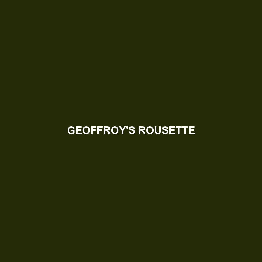 Geoffroy's Rousette