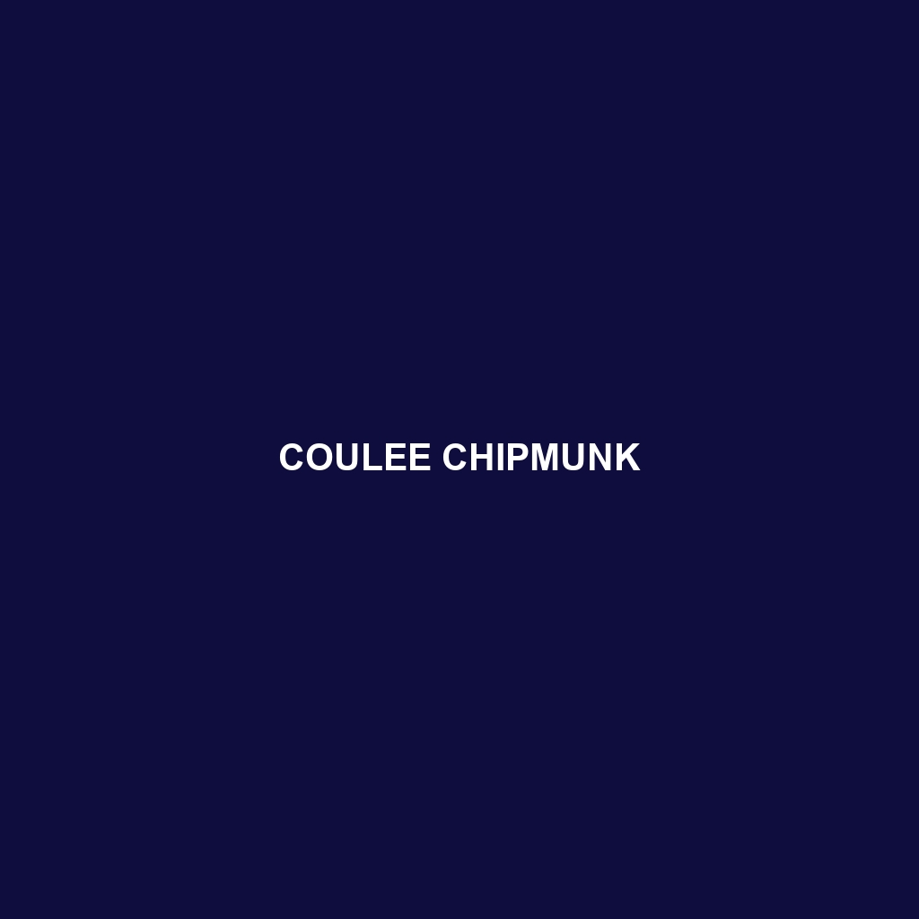 Coulee Chipmunk